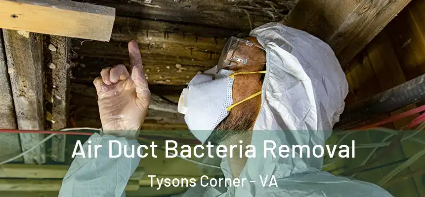 Air Duct Bacteria Removal Tysons Corner - VA