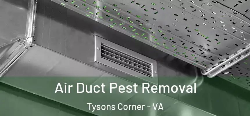 Air Duct Pest Removal Tysons Corner - VA