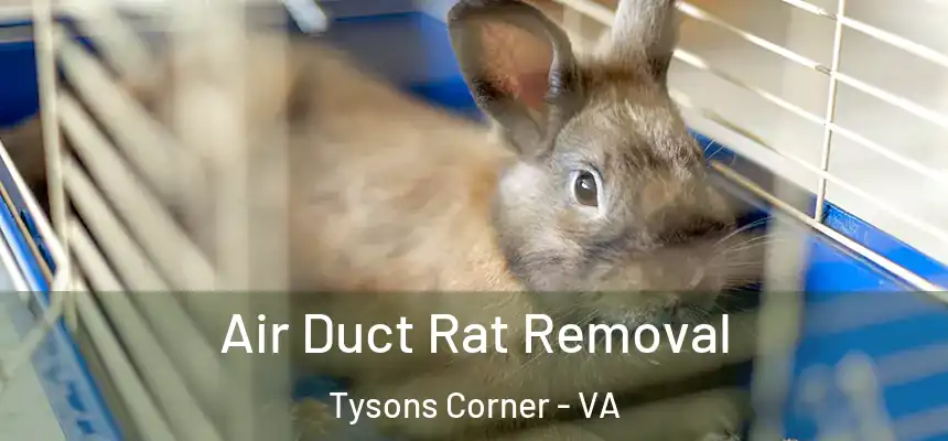  Air Duct Rat Removal Tysons Corner - VA