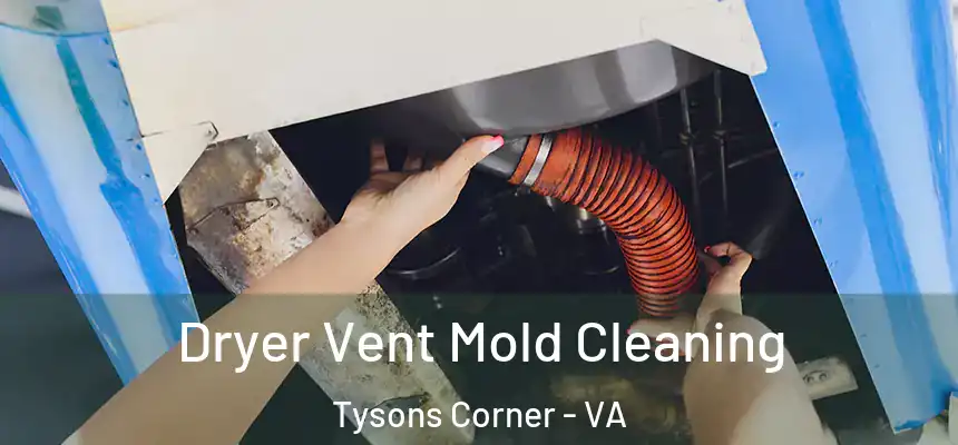  Dryer Vent Mold Cleaning Tysons Corner - VA