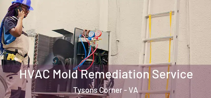 HVAC Mold Remediation Service Tysons Corner - VA