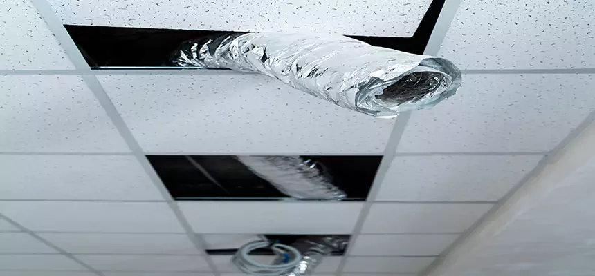 Our Air Duct Pet Hair Removal Services in Tysons Corner, VA