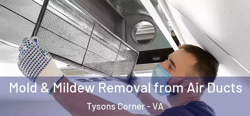 Mold & Mildew Removal from Air Ducts Tysons Corner - VA