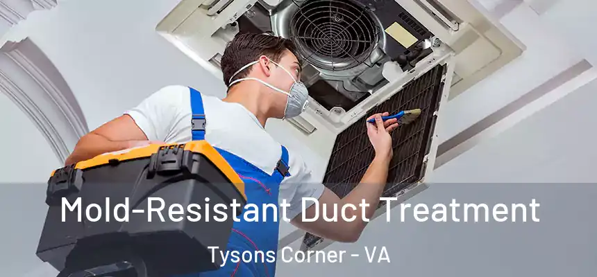  Mold-Resistant Duct Treatment Tysons Corner - VA