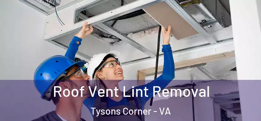 Roof Vent Lint Removal Tysons Corner - VA