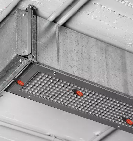 About Air Duct Cockroach Removal in Tysons Corner, VA