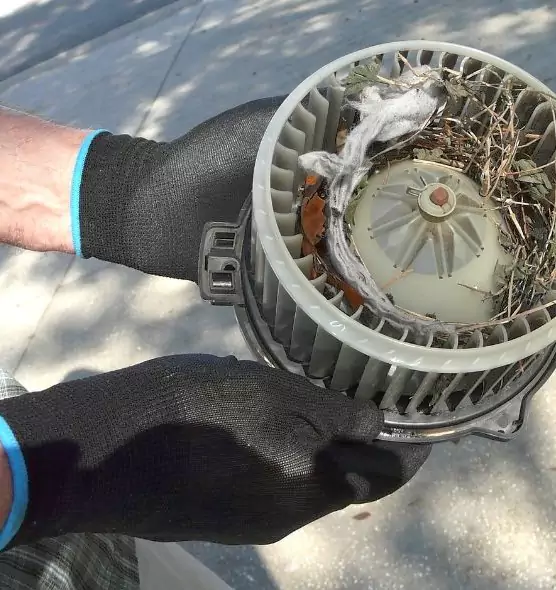 About Air Duct Mice Removal in Tysons Corner, VA