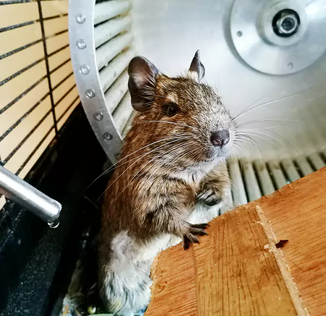 Why Homeowners & Businesses Trust Us Tysons Corner, VA